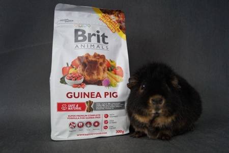 Brit Meerschweinchen-Alleinfutter 300g